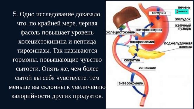 Продукт питания, с которым потеря жира произойдет сама собой