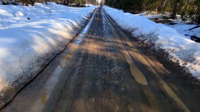 Живу в России смотреть онлайн
