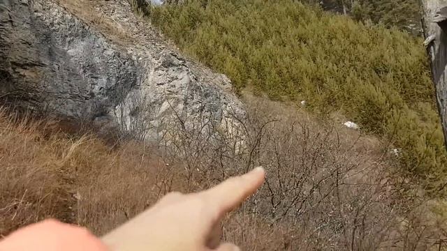 ОДИНОЧНЫЙ ПОХОД с собакой до грота 