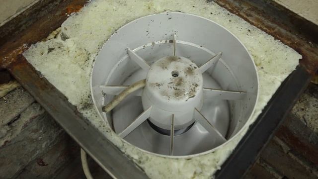 Мокрая смотровая яма? Смотри☝? смотреть онлайн