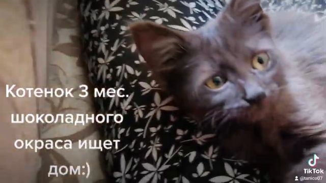 Придумаем имя вместе:) смотреть онлайн