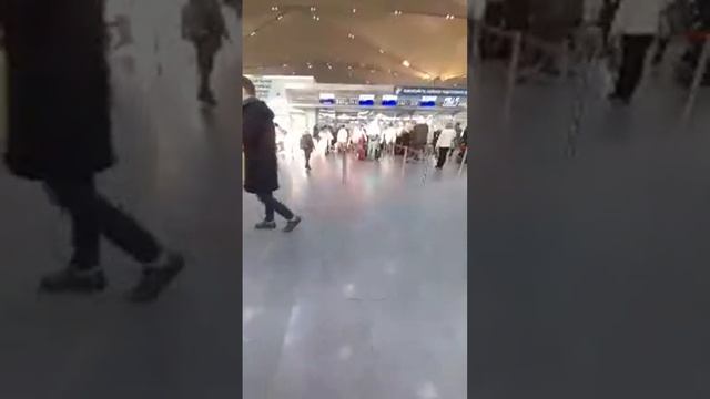 ЧАРТЕРНЫЕ РЕС УЧАЯПДИМИ?АЭРОПОРТ ПУЛКОВО САНКТ-ПЕТЕРБУРГ