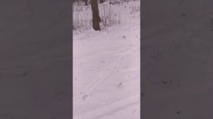 активация ДНК реальная практика