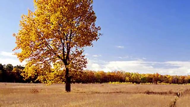 Old Polish Tango PIERWSZY DZIEŃ JESIENI- HALINA KOWALEWSKA! смотреть онлайн