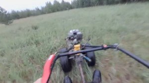 Покатушки на мотоблоке на путь торфянников со стороны лесной просеки #покатушки #мотоблок