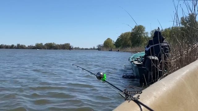 РЫБАЛКА В АСТРАХАНИ! РЫБАЛКА 2023, АПРЕЛЬ ЛОВИМ ВОБЛУ! ДЕНЬ ВТОРОЙ #охапкадров #вобла #рыбалка #еда смотреть онлайн