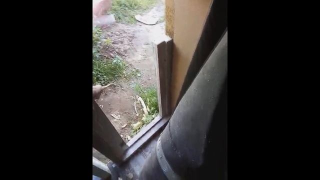 Как построить курятник своими руками. смотреть онлайн