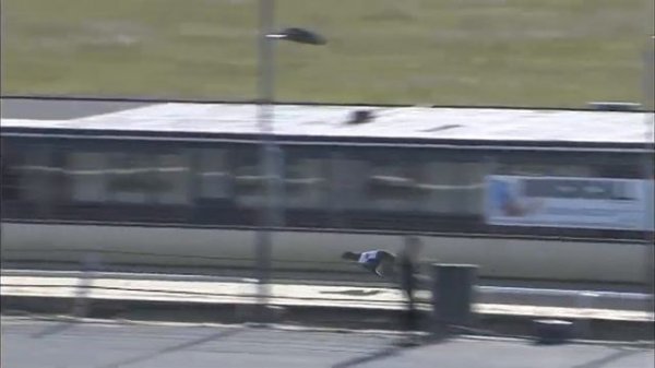 Greyhound 2022-13.06.2022 Trial 4