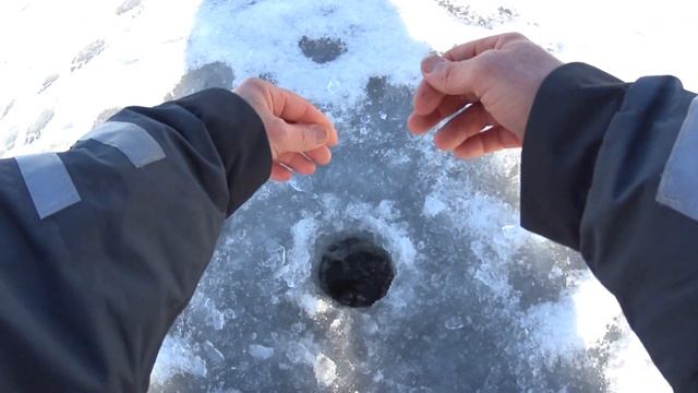 Рыба у нас есть - ловить надо уметь!!! смотреть онлайн