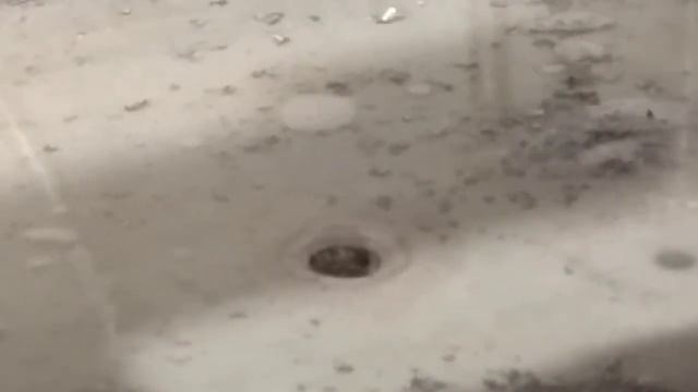 Сож на ТВ 4 продолжение. смотреть онлайн