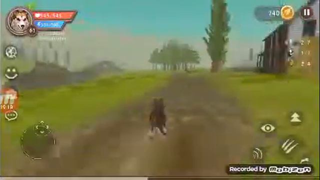 Как писать в онлайн игре Wildcraft,и игра в Sim Cat