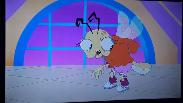 Animaniacs Reboot Season 2 Exercises