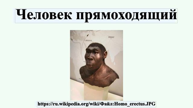 Человек прямоходящий смотреть онлайн