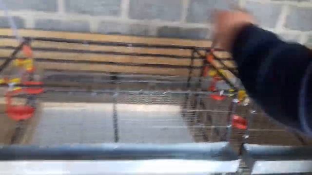 КАК СДЕЛАТЬ КЛЕТКУ ДЛЯ ПЕРЕПЕЛОВ? смотреть онлайн