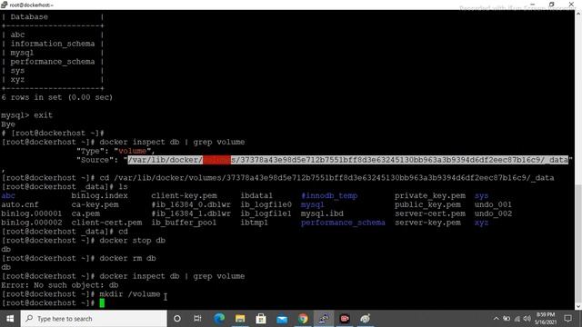 Docker Tutorial for beginner Hindi/Urdu | Docker volumes смотреть онлайн