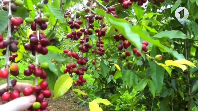 Детская познавательная программа "Что? Откуда? Почему?" - 03/03/20 смотреть онлайн