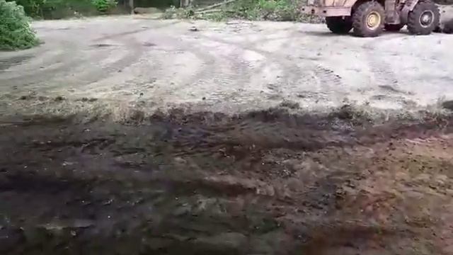 Парк Заозерный.mp4 смотреть онлайн