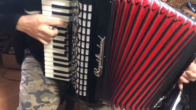 Accordion Royal Standart Capella 80 bass смотреть онлайн