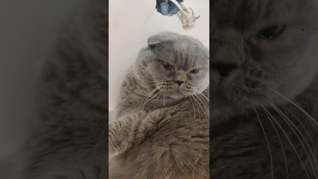 фу у кого жопа воняет смотреть онлайн