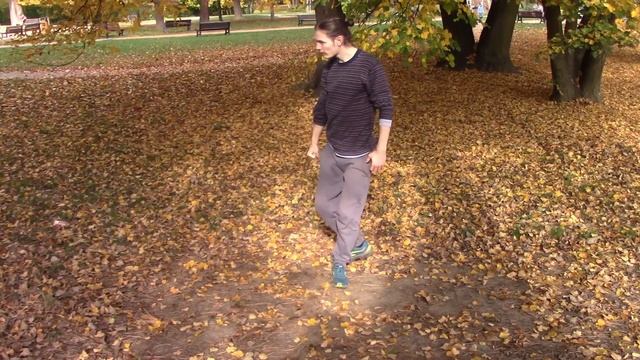 Mestre Bimba's Nemer style: Hand techniques смотреть онлайн