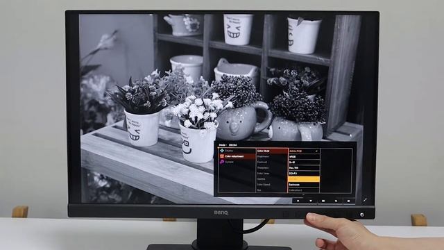 전문가용 모니터 벤큐 SW240 смотреть онлайн