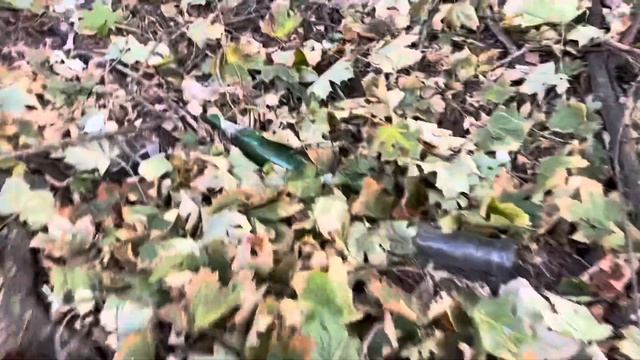 ? Бары Киева ? Где вкусно поесть и выпить в Киеве? смотреть онлайн
