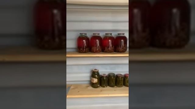 Отзыв клиента о погребе TINGARD (г. Волгоград) смотреть онлайн