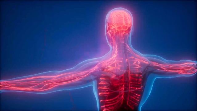 Чистая Матрица Гаряева. Исцеление сосудов, костей, мышц.