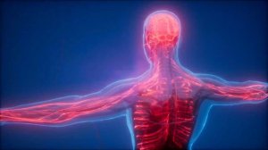 Чистая Матрица Гаряева. Исцеление сосудов, костей, мышц.