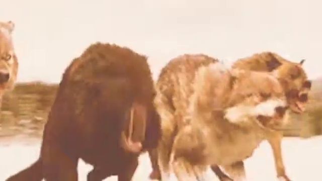 Волки. Клип. Тони Раут. Икар смотреть онлайн