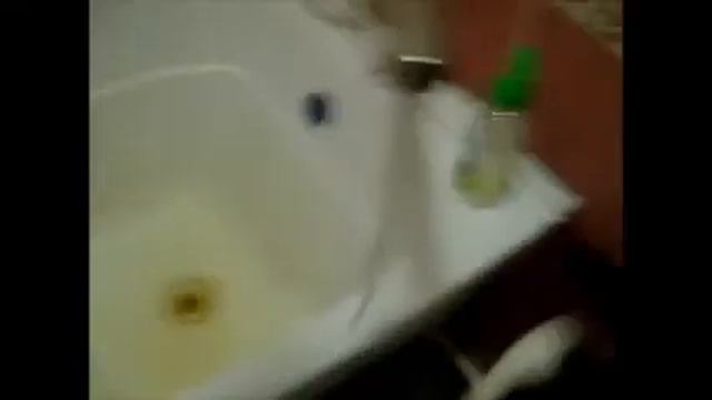 Кот играет с водой + крутит спиннер. смотреть онлайн