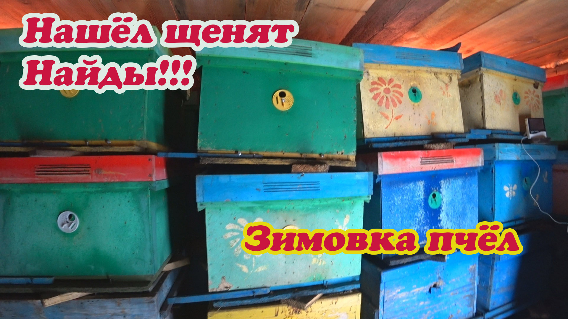 ЗИМНИЕ БУДНИ ПЧЕЛОВОДА, ЧИСТКА СНЕГА, ЗИМОВКА ПЧЁЛ, НАШЁЛ ЩЕНЯТ НАЙДЫ, ЧТО С НИМИ ДЕЛАТЬ!!! смотреть онлайн