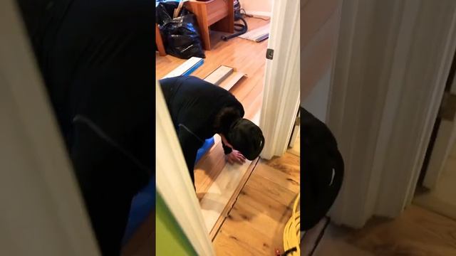Новый пол лучше старых двух смотреть онлайн