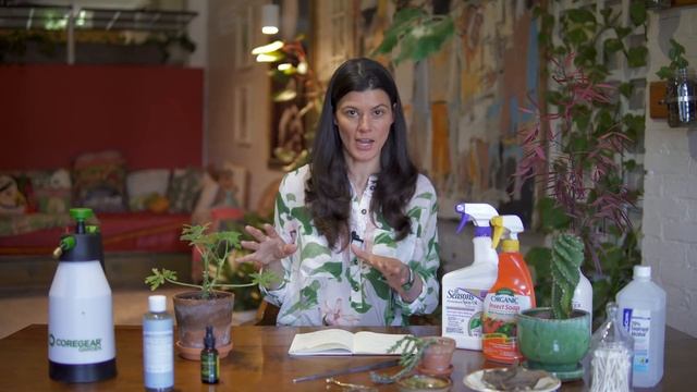 Houseplant 101: Control Houseplant Pests: Thrips, Mealybugs, Spider Mites, Aphids, & More! — Ep 123