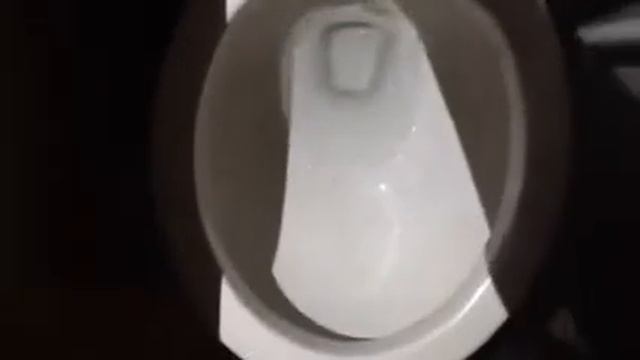 Gerber hinston fixtures and project source toilet at rough riders chicken смотреть онлайн