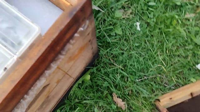 1 ноября, семейки после закорма и обработки дым пушкой смотреть онлайн