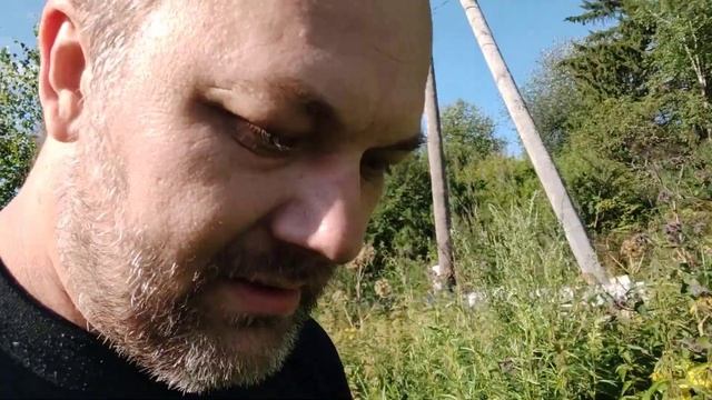 Дача что сломано что буду делать 24 июля 2022 смотреть онлайн