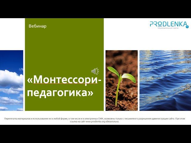 Вебинар «Монтессори педагогика» смотреть онлайн