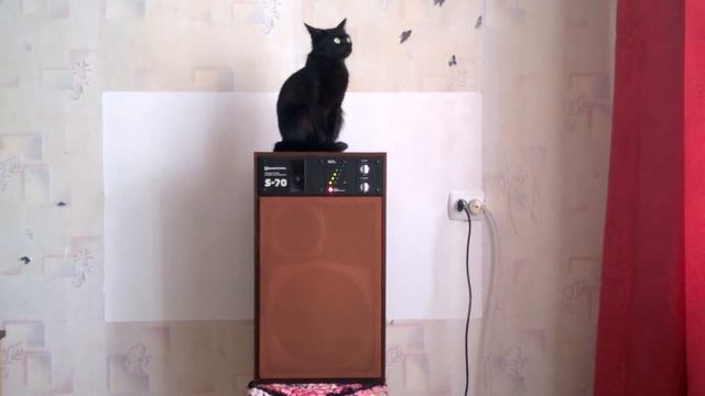 Radiotehnika S70 (часть 1)