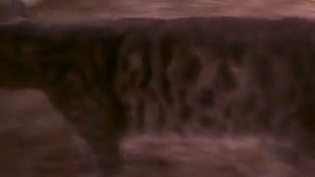 Orbit - Its My Life смотреть онлайн