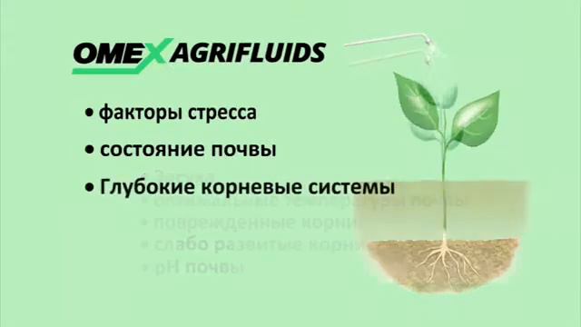 Удобрения Омекс - зачем необходимо использовать некорневые удобрения смотреть онлайн