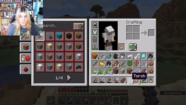 CAT COLLECTOR | Minecraft Java Edition смотреть онлайн