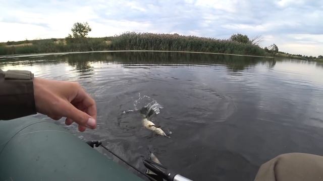 ПРЯМ ВОЛШЕБНЫЙ ПРУД КАКОЙ ТО! Сколько же ЩУКИ здесь?! Рыбалка на спиннинг осенью 2018. смотреть онлайн