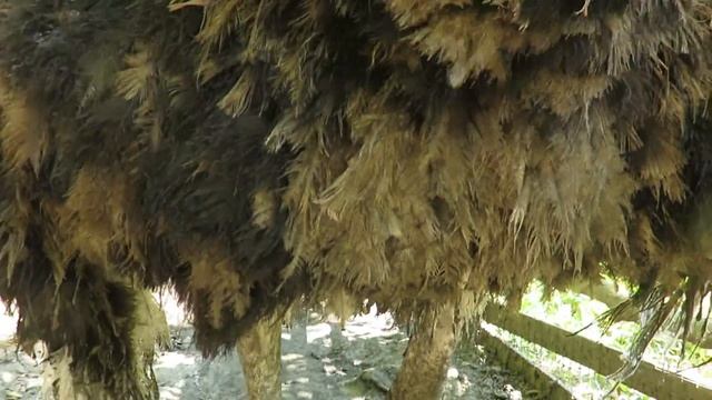 ВОТ ЭТО Я УДАЧНО СЪЕЗДИЛ НА МОРЕ! смотреть онлайн