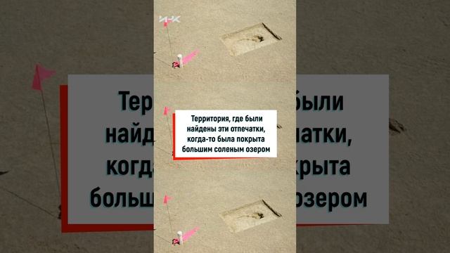 10 000 летние следы призраки, #shorts, археология, история, наука, солончаки, следы человека, озеро смотреть онлайн