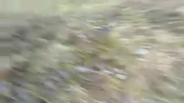 НОВАЯ КРАСНАЯ МАШИНА! Упала камера. 4 часть. смотреть онлайн