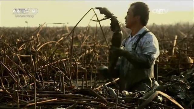 Gifts From Nature【A Bite Of China】Ep1 | China Documentary