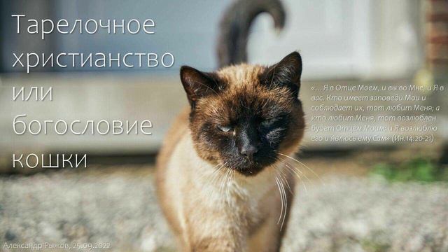 Проповедь // Ин.14:20-21. Тарелочное христианство или богословие кошки смотреть онлайн