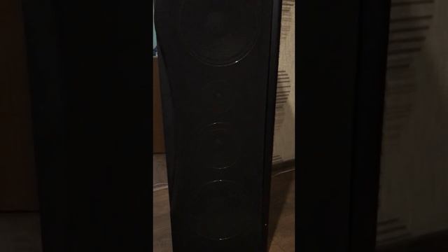 СССР vs ПОЛЬША s90D, Tonsil Voyager 350 смотреть онлайн