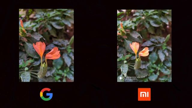 Pixel 3 Google Camera on Redmi Note 7!Google Camera Vs 48MP Redmi Camera in Tamil! смотреть онлайн
